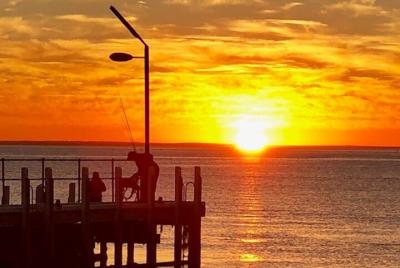 Recorrido turístico por la península de Mornington para 2-6 personas.