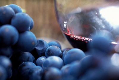 Grupo pequeño de 6 invitados: comida y vino de la península de Mornington