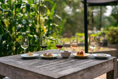 Experiencia gastronómica y gastronómica a juego para 2 personas