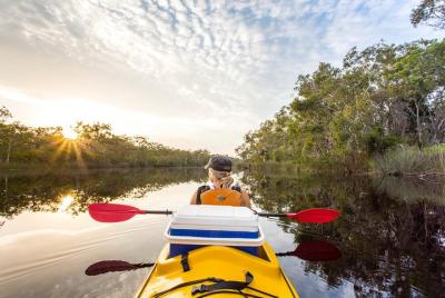 Tour autoguiado por Kayak Noosa Everglades Tour autoguiado por Kayak Noosa Everglades