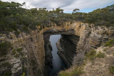 Excursión de medio día desde Port Arthur: Península de Tasmania con traslado de ida y vuelta al puerto