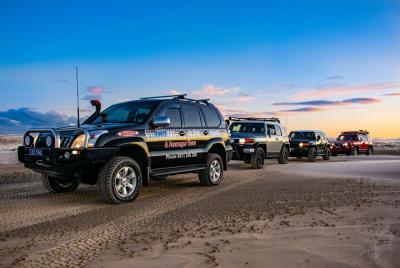Visita guiada a pie por la playa de Port Stephens Bush, arena y arena 4WD