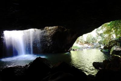 Arco natural, selva tropical y cañón del volcán - Tour privado de medio día Arco natural, selva tropical y cañón del volcán - Tour privado de medio día