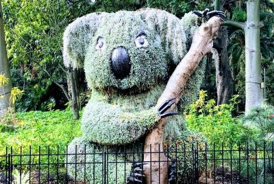 Descubre Sydney - Botanic