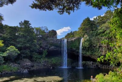 Escape escénico con cuevas de gusanos luminosos