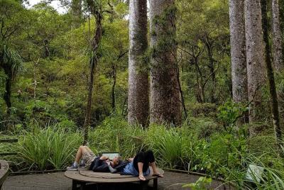 Escape escénico con almuerzo en bodega y cuevas de gusanos luminosos