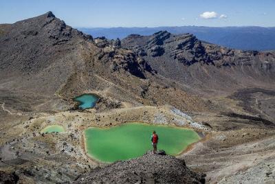 Transferencia de regreso de Tongariro Crossing desde Turangi Transferencia de regreso de Tongariro Crossing desde Turangi