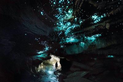 Fuera de la ruta establecida - Glowworm Caving Adventure Tour en Waitomo