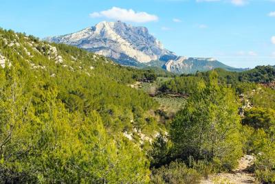 Tour privado de Aix-en-Provence, Cézanne, Mt Sainte Victoire y el vino de Provence
