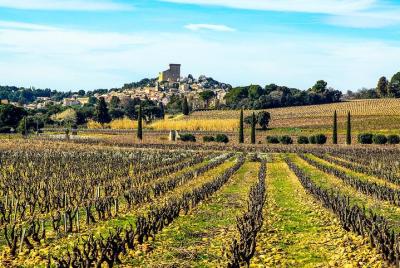 Tour enológico de Châteauneuf du Pape, gastronomía, vinos y joie de vivre tour privado
