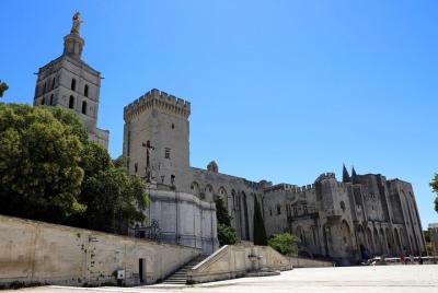 La historia de Avignon, la cultura local y los vinos de Châteauneuf du Pape tour privado