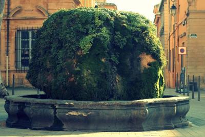Visita guiada privada Aix-en-Provence | Fuentes y Jardines