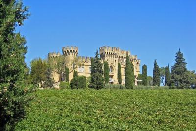 Excursión privada de un día a las bodegas Avignon y Chateauneuf-du-Pape desde Aix-en-Provence