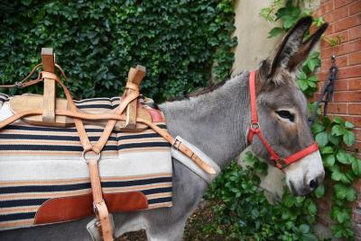 visite nuestro sitio https://www.domainedelamerindole.com