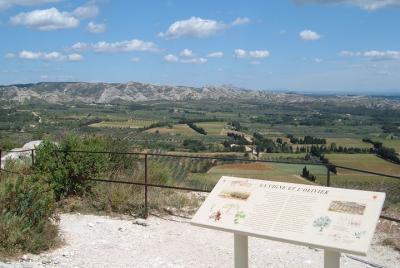 Provence Reds & Rose Wine Lovers Tours con conductor privado Provence Reds & Rose Wine Lovers Tours con conductor privado