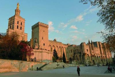 Excursión privada de medio día a Aviñón desde Aix-en-Provence