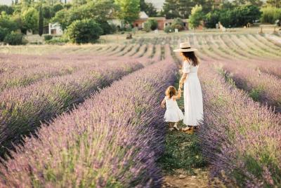 Visite un campo de lavanda y participe en talleres temáticos.