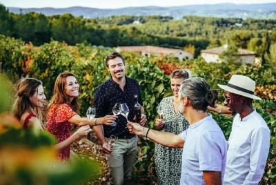 Tour del vino de Provenza - Tour privado de un día desde Niza Tour del vino de Provenza - Tour privado de un día desde Niza