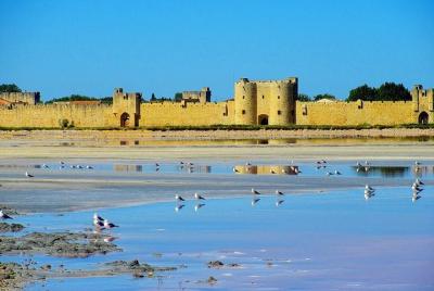 Excursión privada de la Camarga a Saint Gilles du Gard, Les Saintes Maries de la Mer y Aigues-Mortes de Arles