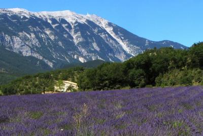Provenza Excursión privada de día completo con guía profesional desde Aviñón Provenza Excursión privada de día completo con guía profesional desde Aviñón