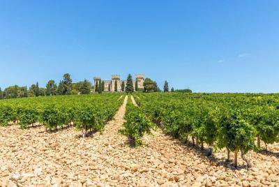A la découverte de Chateauneuf du Pape