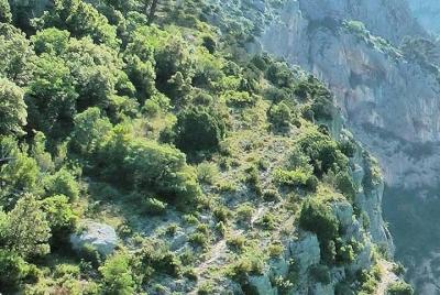 Viaje privado de un día en grupo pequeño a Manosque, Valensole, Moustiers Ste Marie y Lake Ste Croix