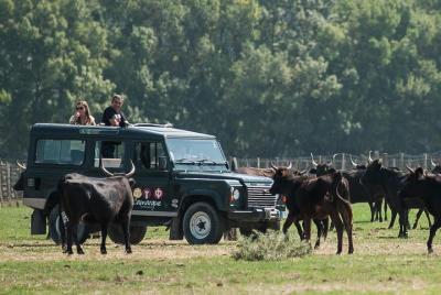 Camargue VIP 4x4 Safari de ARLES