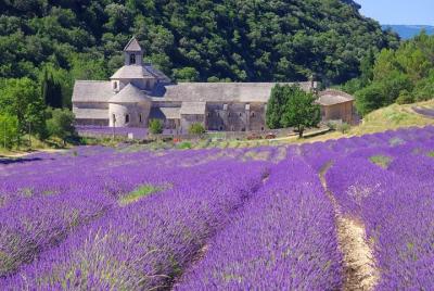 Excursión de un día al pequeño grupo Provenza y Museo de Lavanda desde Aviñón Excursión de un día al pequeño grupo Provenza y Museo de Lavanda desde Aviñón
