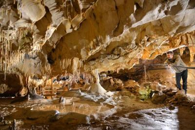 Sin colas: entrada a la Grotte de Thouzon