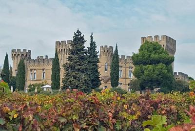 Tour privado de un día a Cotes du Rhone con degustación de vino de Aviñón Tour privado de un día a Cotes du Rhone con degustación de vino de Aviñón