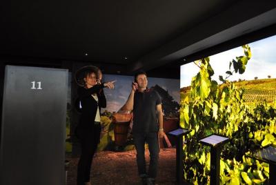 Ticket de entrada al Museo del Vino de Brotte con degustación de 3 vinos.