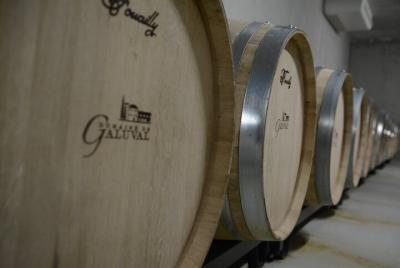 THE CUBE: Tour privado de la bodega cubista de semi-gravedad con degustación de vinos THE CUBE: Tour privado de la bodega cubista de semi-gravedad con degustación de vinos