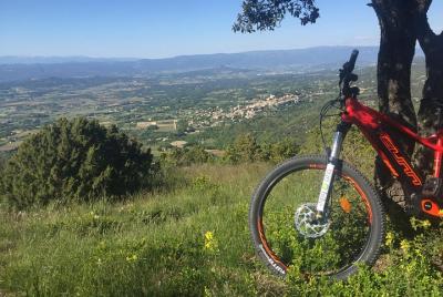 Día en el bosque de Luberon y Cedro en E-VTT