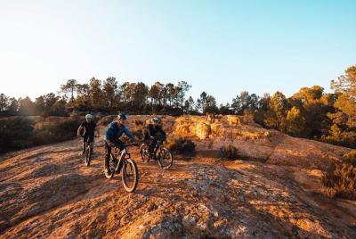¿Quieres aventurarte? Reserve su bicicleta de montaña eléctrica con guía - 1/2 día