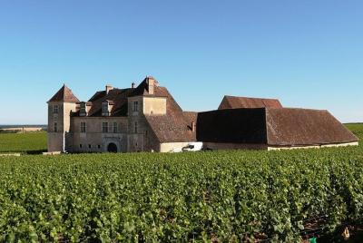 Excursión privada de un día a la Cote de Nuits de Borgoña Excursión privada de un día a la Cote de Nuits de Borgoña