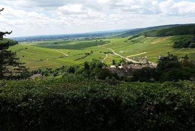 Excursión privada de un día por la ruta del vino de Borgoña desde Beaune Excursión privada de un día por la ruta del vino de Borgoña desde Beaune