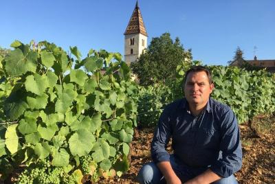 Enoturismo en Côte de Beaune Enoturismo en Côte de Beaune