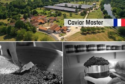 Visita a un criadero de esturiones con taller de caviar en Neuvic
