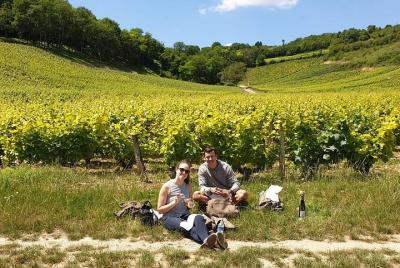 Ruta del Vino Valle del Loira