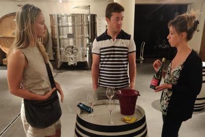 Escapada de fin de semana Vinos y castillos del Loira