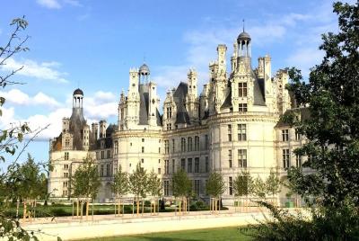 Descubre los castillos de Chambord y Chenonceau.