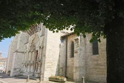 Medio día en Saint-Emilion en un tour privado (Minivan de lujo)