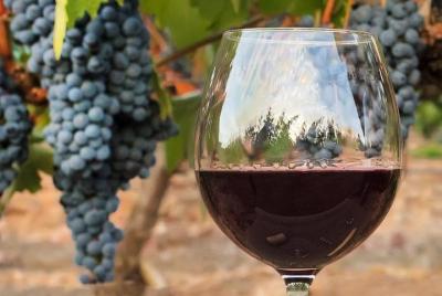 Recorrido vinícola de un día completo por Médoc desde Burdeos