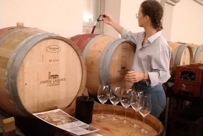 Tour privado de Médoc con visita de castillos y degustación de vinos Grands Crus