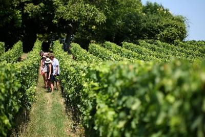 Burdeos Super Saver: Recorrido vinícola por Médoc con almuerzo y St-Emilion o Graves