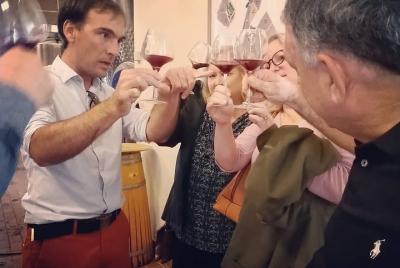 Tour privado en Saint-Emilion: visita a las bodegas y degustación de Crus Classés