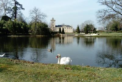 Día de descubrimiento de los vinos clasificados de Médoc - Tour privado.