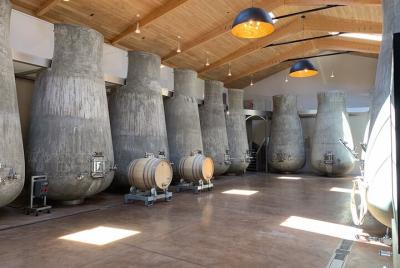 Tour privado de medio día en Saint-Émilion (en una furgoneta de lujo)