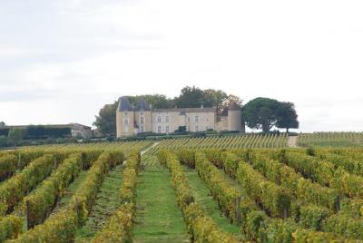 Descubriendo Sauternes