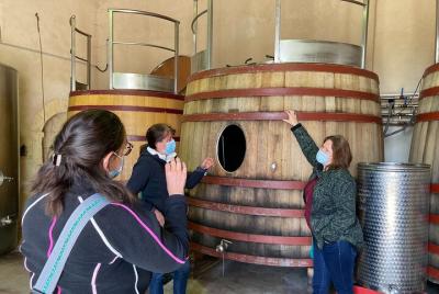 Tour matutino para grupos pequeños de Saint-Emilion con visita a la bodega y degustación